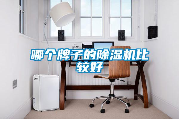 哪個牌子的除濕機比較好