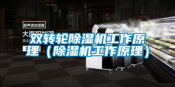 雙轉(zhuǎn)輪除濕機(jī)工作原理(除濕機(jī)工作原理)