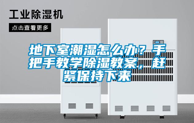 地下室潮濕怎么辦？手把手教學除濕教案，趕緊保持下來