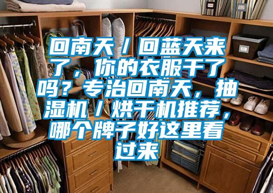 回南天／回藍天來了，你的衣服干了嗎？專治回南天，抽濕機／烘干機推薦，哪個牌子好這里看過來