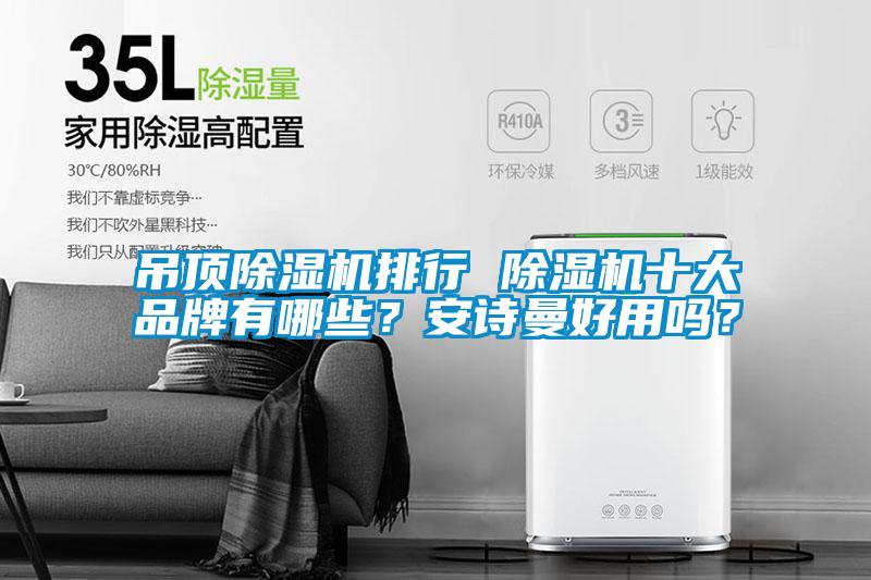 吊頂除濕機排行 除濕機十大品牌有哪些？安詩曼好用嗎？