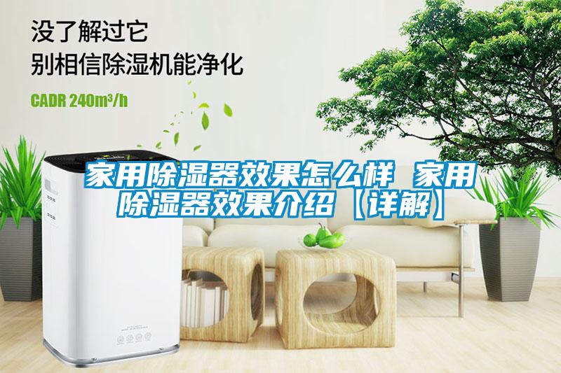 家用除濕器效果怎么樣 家用除濕器效果介紹【詳解】