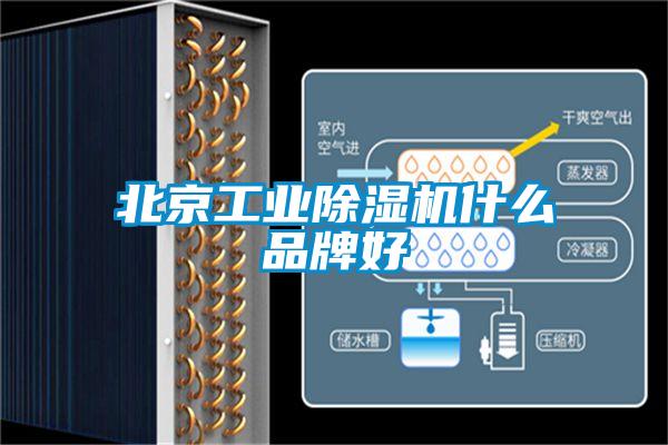北京工業除濕機什么品牌好