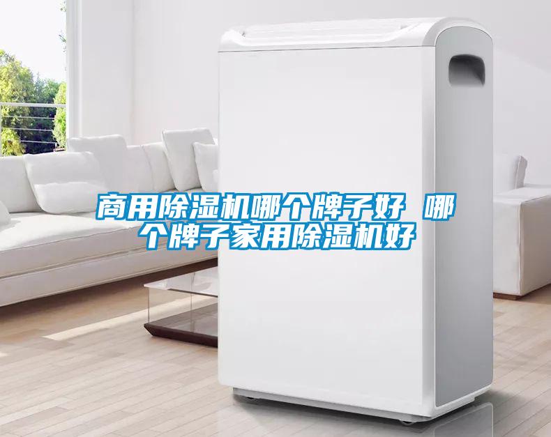 商用除濕機(jī)哪個(gè)牌子好 哪個(gè)牌子家用除濕機(jī)好