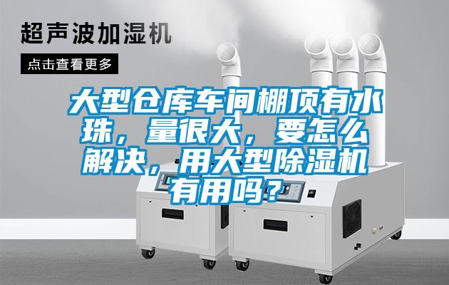 大型倉(cāng)庫(kù)車(chē)間棚頂有水珠，量很大，要怎么解決，用大型除濕機(jī)有用嗎？