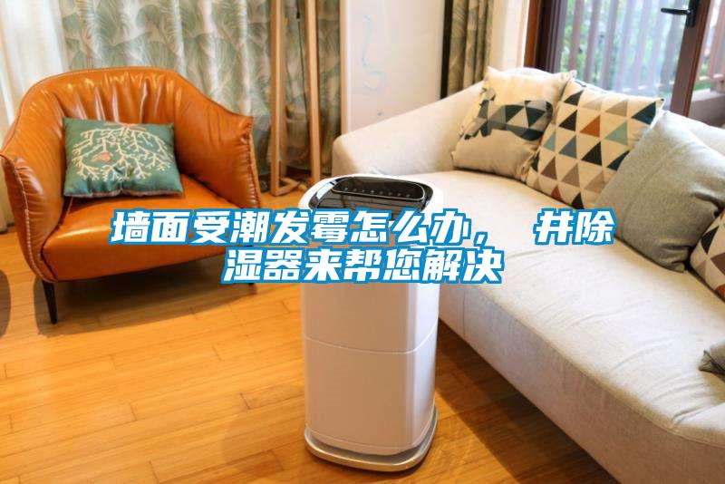 墻面受潮發霉怎么辦，東井除濕器來幫您解決