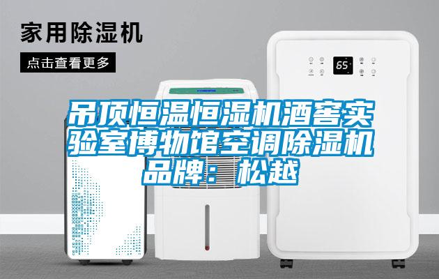 吊頂恒溫恒濕機酒窖實驗室博物館空調(diào)除濕機品牌：松越