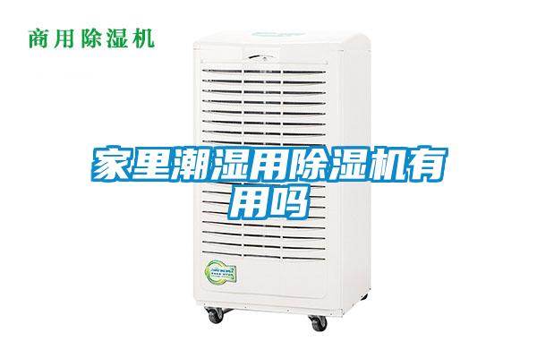 家里潮濕用除濕機有用嗎