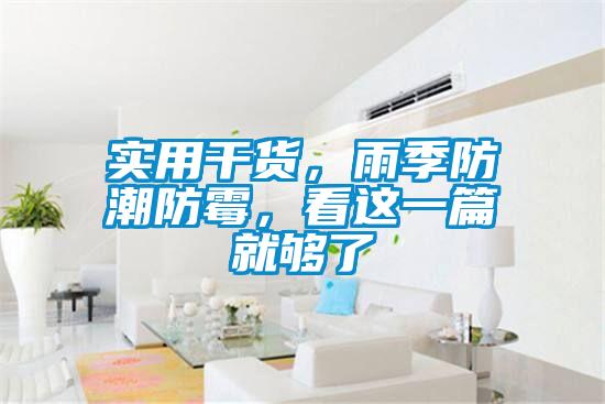 實用干貨，雨季防潮防霉，看這一篇就夠了