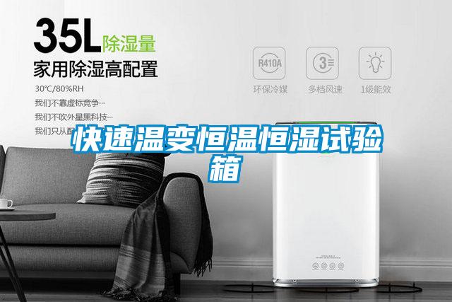 快速溫變恒溫恒濕試驗箱