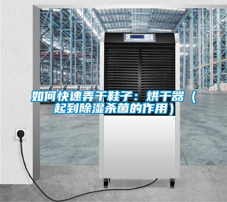 如何快速弄干鞋子：烘干器（起到除濕殺菌的作用）