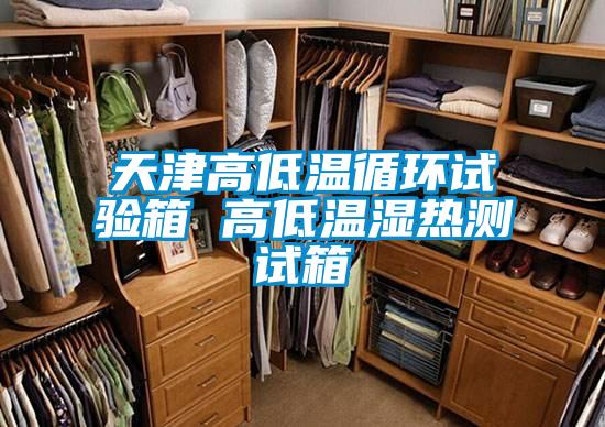 天津高低溫循環(huán)試驗箱 高低溫濕熱測試箱