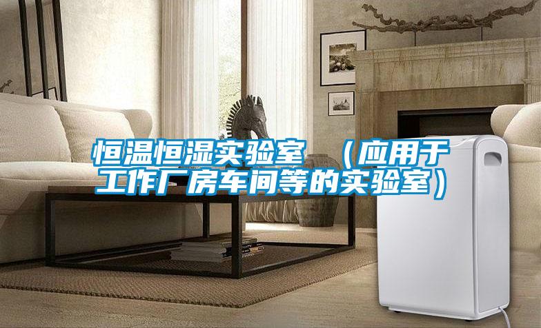 恒溫恒濕實驗室 （應(yīng)用于工作廠房車間等的實驗室）