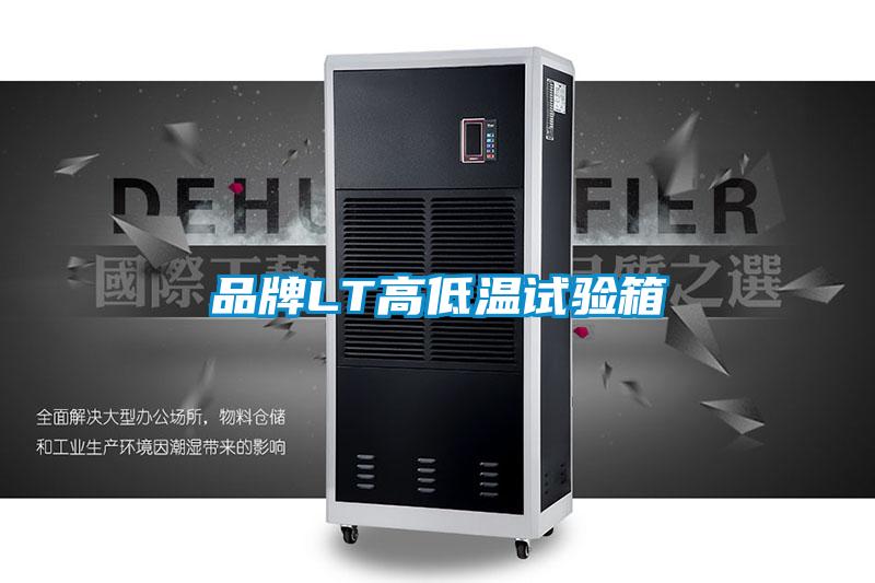 品牌LT高低溫試驗箱