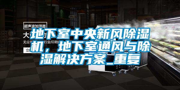 地下室中央新風除濕機，地下室通風與除濕解決方案_重復