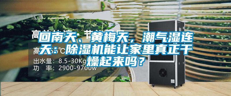 回南天、黃梅天，潮氣濕連天：除濕機能讓家里真正干燥起來嗎？