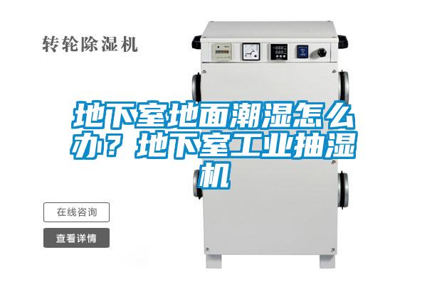 地下室地面潮濕怎么辦？地下室工業抽濕機