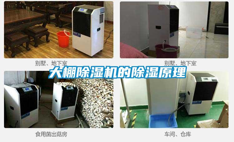 大棚除濕機(jī)的除濕原理