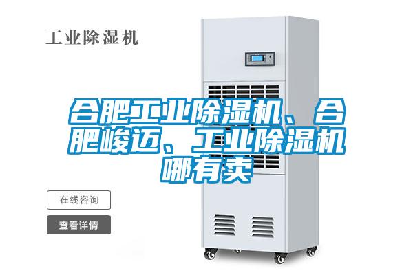 合肥工業(yè)除濕機、合肥峻邁、工業(yè)除濕機哪有賣