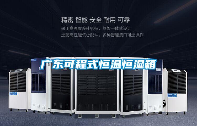 廣東可程式恒溫恒濕箱