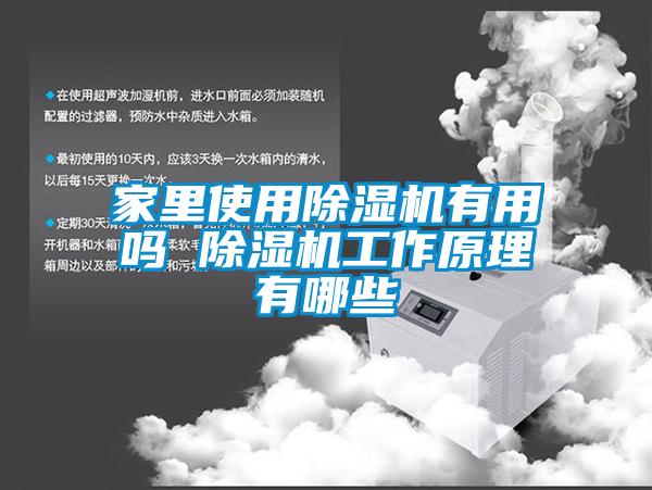 家里使用除濕機有用嗎 除濕機工作原理有哪些
