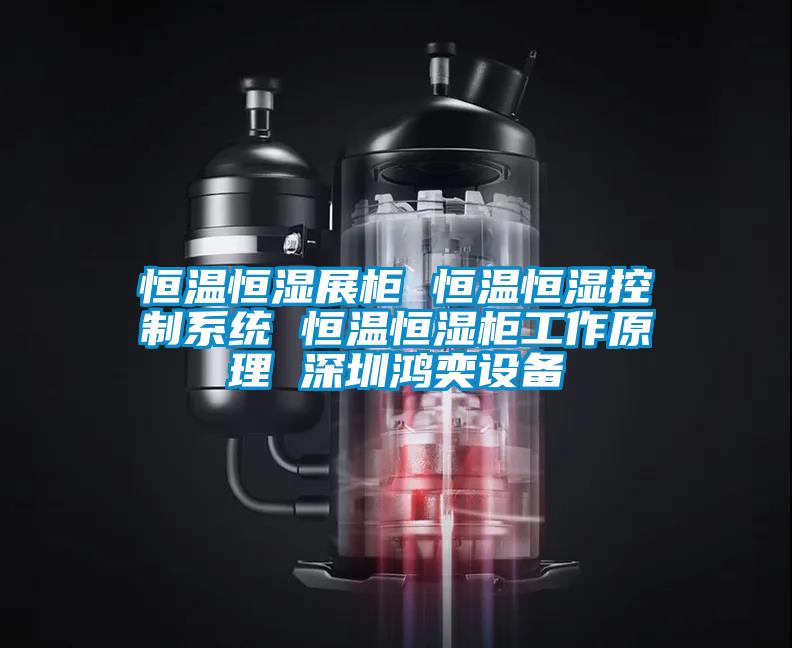 恒溫恒濕展柜 恒溫恒濕控制系統 恒溫恒濕柜工作原理 深圳鴻奕設備