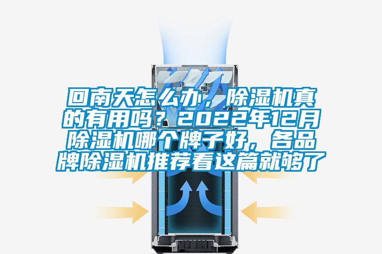 回南天怎么辦，除濕機真的有用嗎？2022年12月除濕機哪個牌子好，各品牌除濕機推薦看這篇就夠了