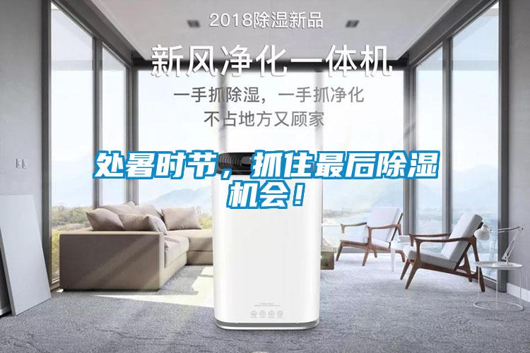 處暑時節(jié)，抓住最后除濕機(jī)會！