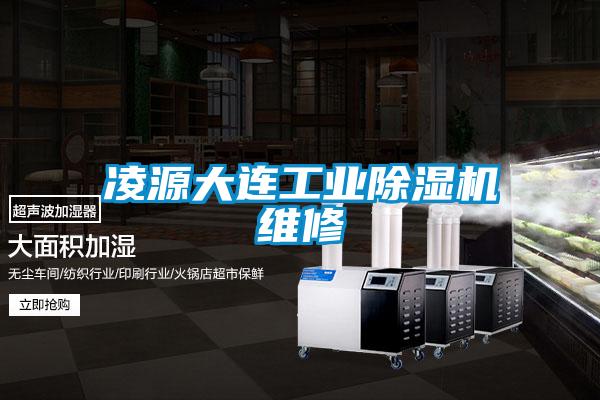 凌源大連工業(yè)除濕機維修