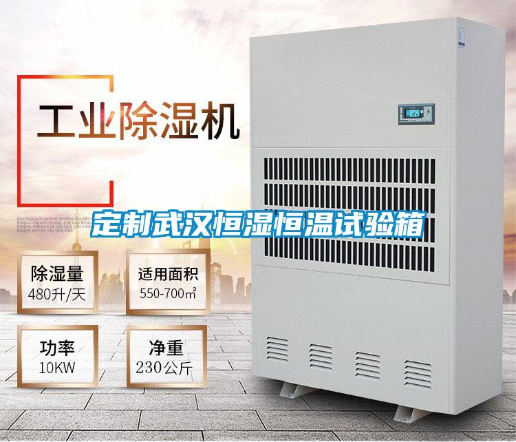 定制武漢恒濕恒溫試驗箱