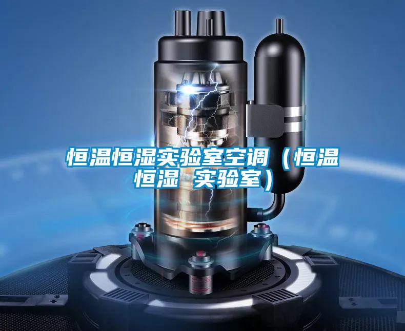 恒溫恒濕實驗室空調（恒溫恒濕 實驗室）