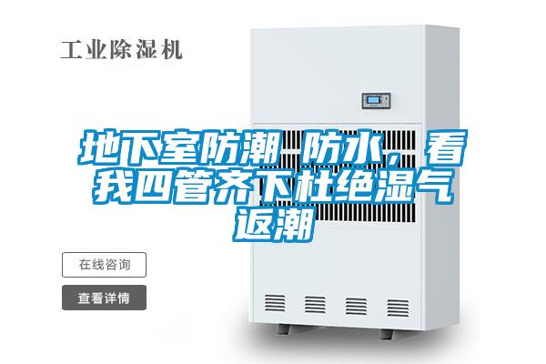 地下室防潮≠防水，看我四管齊下杜絕濕氣返潮