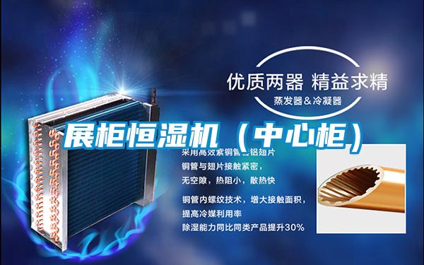 展柜恒濕機（中心柜）