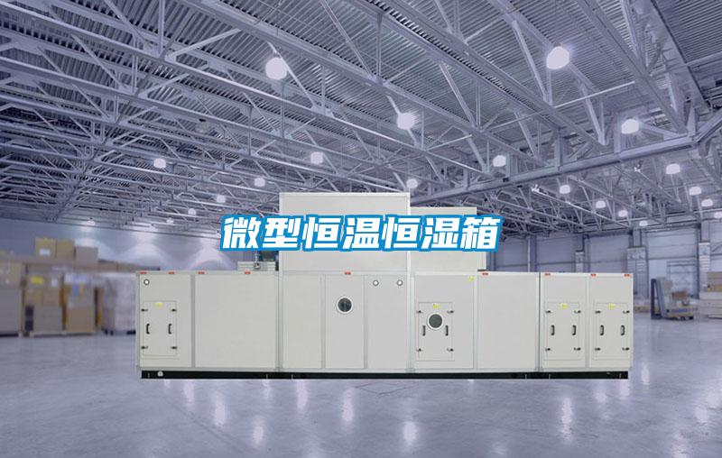 微型恒溫恒濕箱