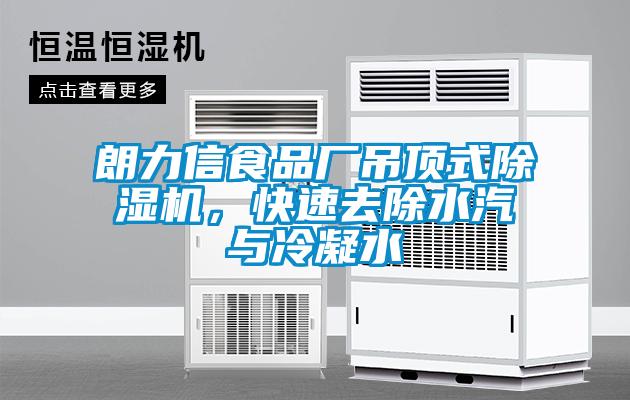 朗力信食品廠吊頂式除濕機(jī)，快速去除水汽與冷凝水