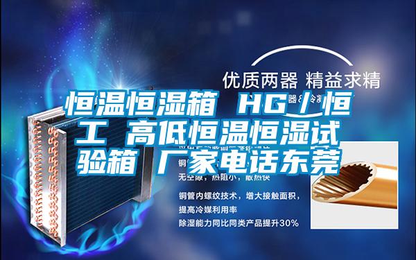恒溫恒濕箱 HG/恒工 高低恒溫恒濕試驗箱 廠家電話東莞