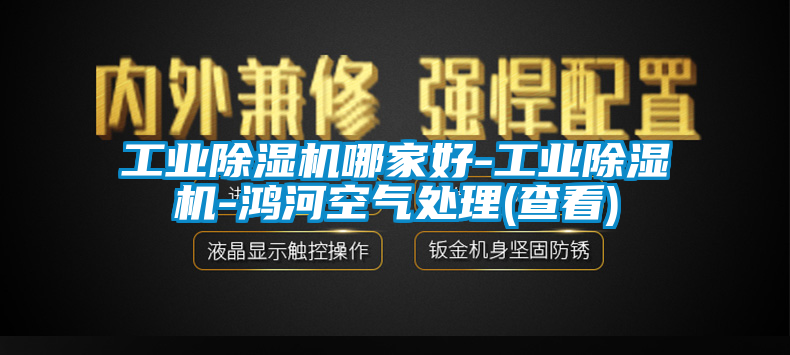 工業除濕機哪家好-工業除濕機-鴻河空氣處理(查看)