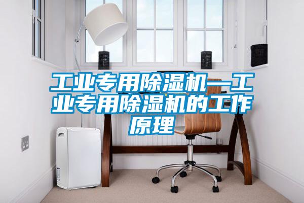 工業(yè)專(zhuān)用除濕機(jī)—工業(yè)專(zhuān)用除濕機(jī)的工作原理