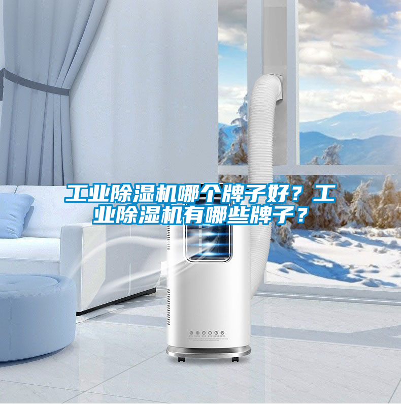 工業除濕機哪個牌子好？工業除濕機有哪些牌子？