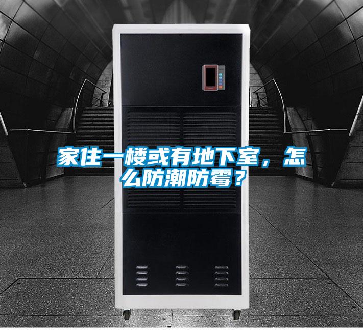 家住一樓或有地下室，怎么防潮防霉？