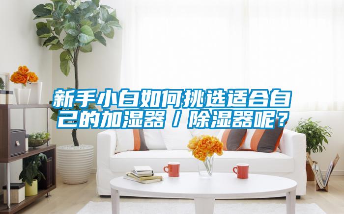 新手小白如何挑選適合自己的加濕器／除濕器呢？