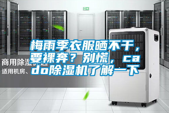 梅雨季衣服曬不干，要裸奔？別慌，cado除濕機了解一下