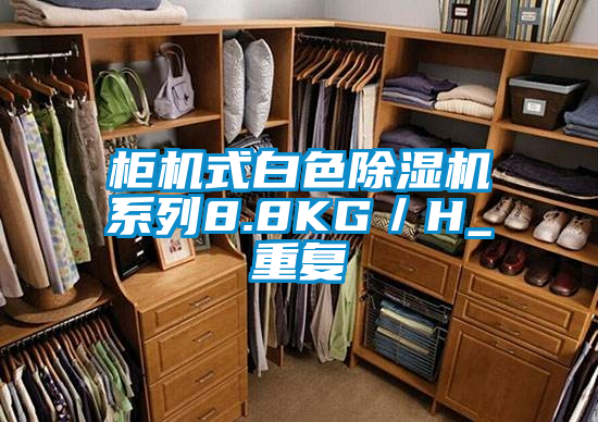 柜機式白色除濕機系列8.8KG/H_重復