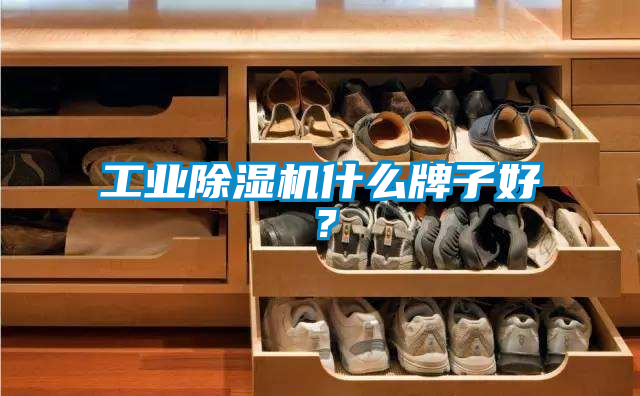 工業(yè)除濕機(jī)什么牌子好？