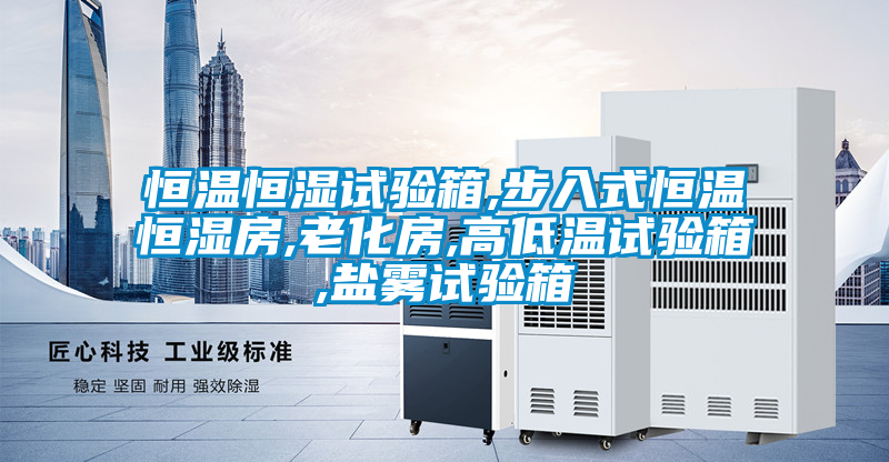 恒溫恒濕試驗箱,步入式恒溫恒濕房,老化房,高低溫試驗箱,鹽霧試驗箱