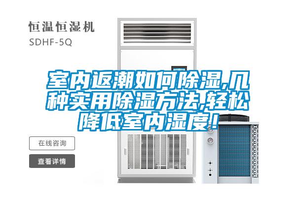 室內返潮如何除濕,幾種實用除濕方法,輕松降低室內濕度！