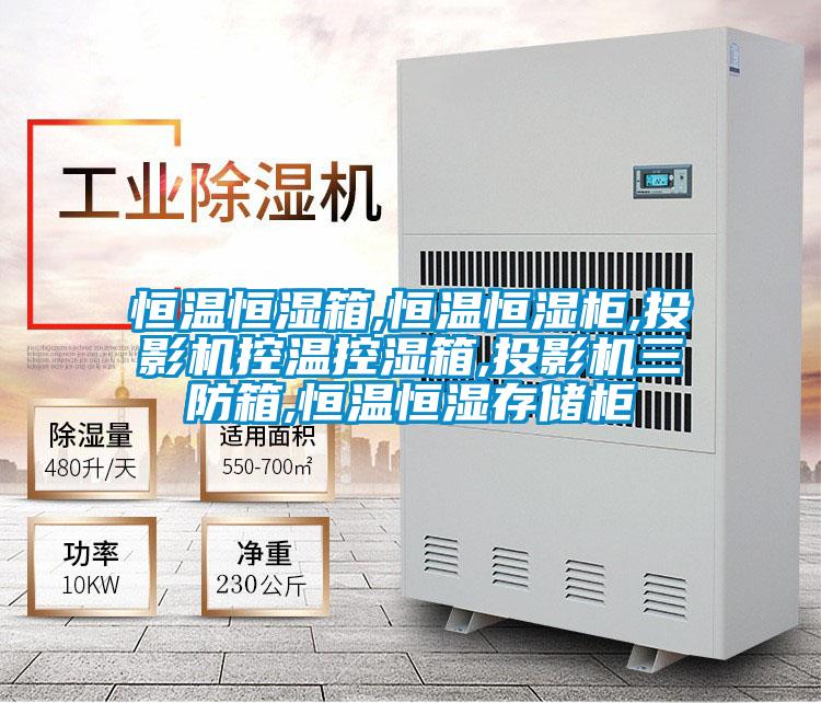 恒溫恒濕箱,恒溫恒濕柜,投影機控溫控濕箱,投影機三防箱,恒溫恒濕存儲柜