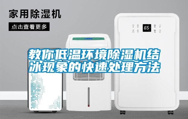 教你低溫環境除濕機結冰現象的快速處理方法