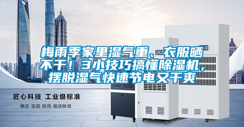 梅雨季家里濕氣重、衣服曬不干！3小技巧搞懂除濕機(jī)，擺脫濕氣快速節(jié)電又干爽