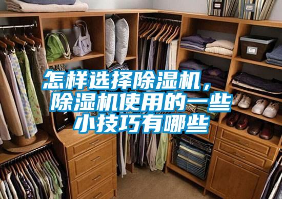 怎樣選擇除濕機， 除濕機使用的一些小技巧有哪些